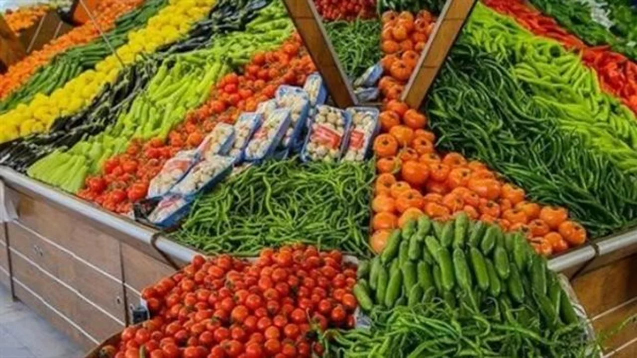 أسعار الفاكهة الموسمية: البطيخ والكنتالوب والخوخ تنخفض في الأسواق